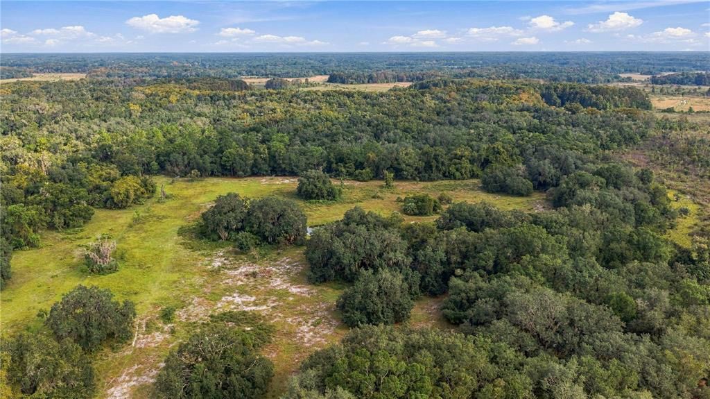 For Sale: $1,295,000 (56.58 acres)