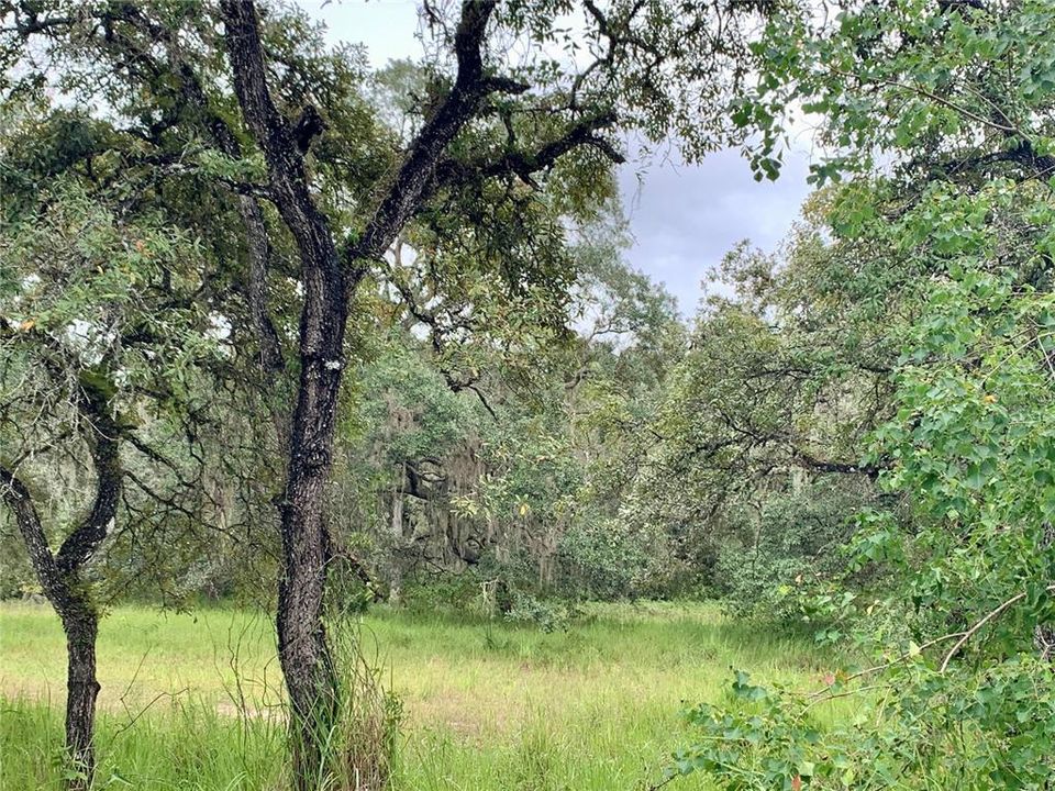 For Sale: $1,295,000 (56.58 acres)