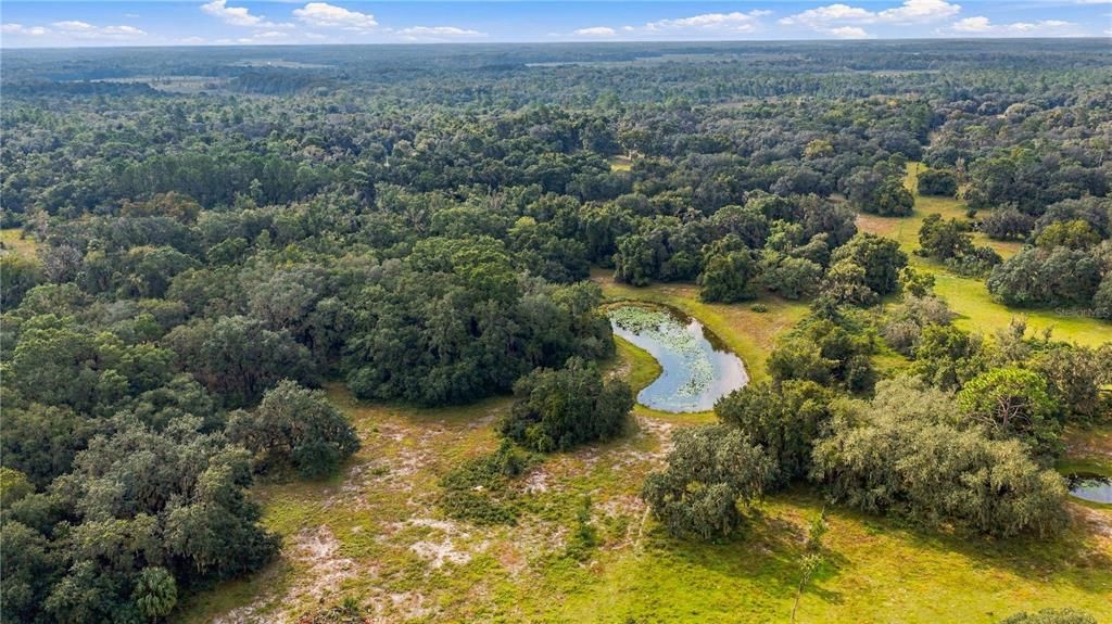 For Sale: $1,295,000 (56.58 acres)
