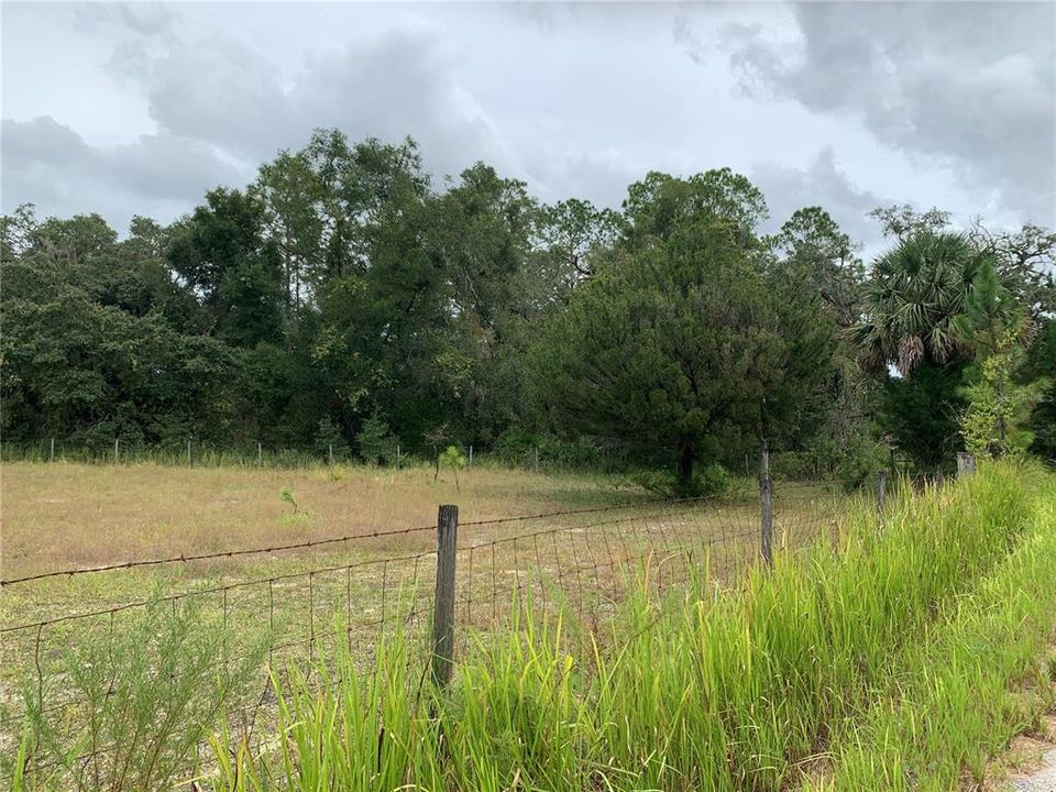 For Sale: $1,295,000 (56.58 acres)