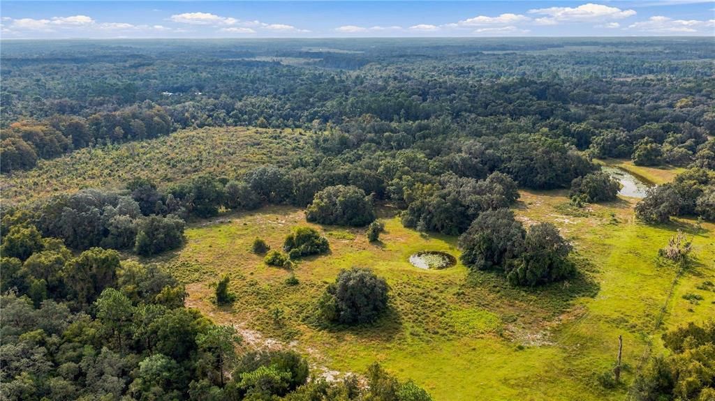 For Sale: $1,295,000 (56.58 acres)