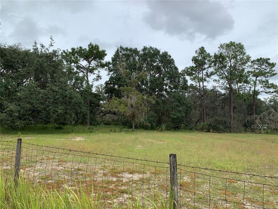 For Sale: $1,295,000 (56.58 acres)
