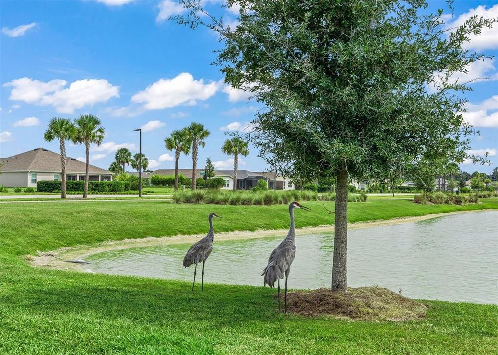 For Sale: $1,150,000 (4 beds, 2 baths, 2555 Square Feet)