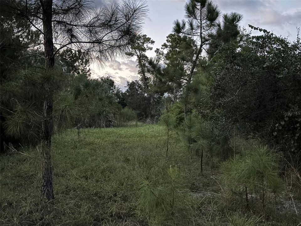 For Sale: $75,000 (1.52 acres)