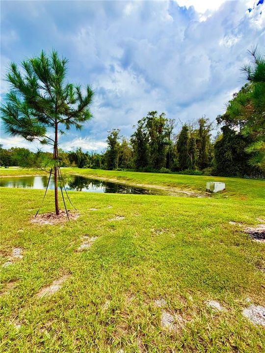 For Rent: $2,150 (3 beds, 2 baths, 1673 Square Feet)