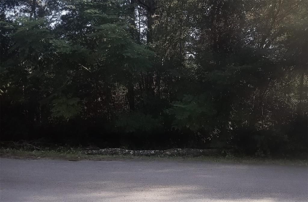 En Venta: $20,900 (0.23 acres)