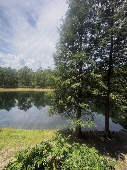 For Sale: $249,000 (3 beds, 2 baths, 1700 Square Feet)