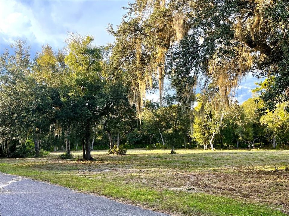 En Venta: $45,000 (1.59 acres)