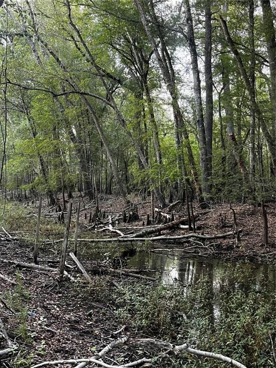 En Venta: $45,000 (1.59 acres)