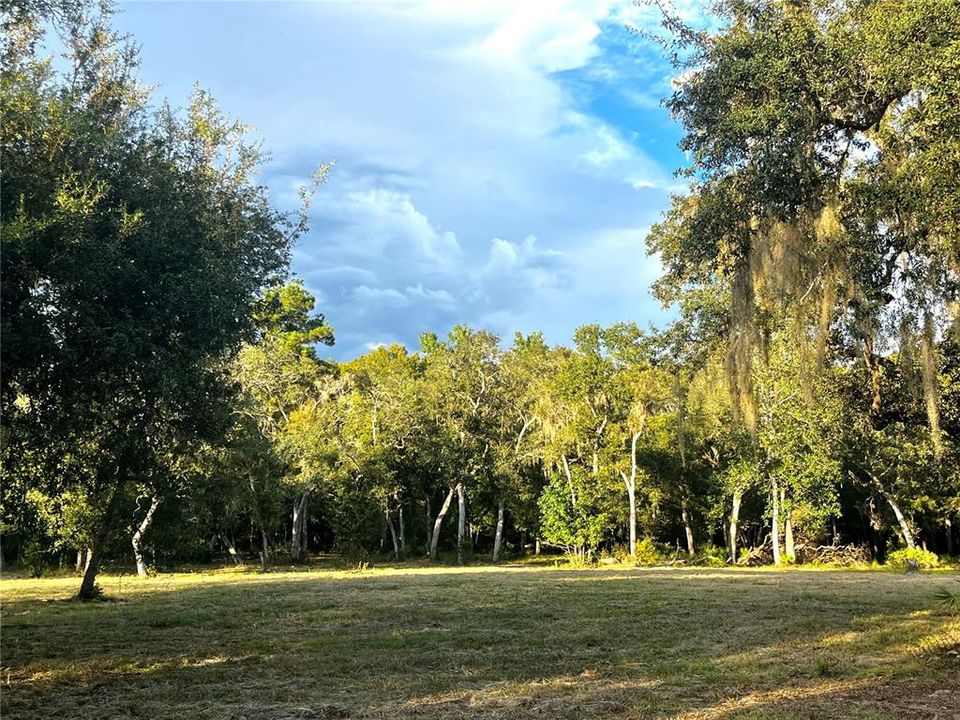 En Venta: $45,000 (1.59 acres)