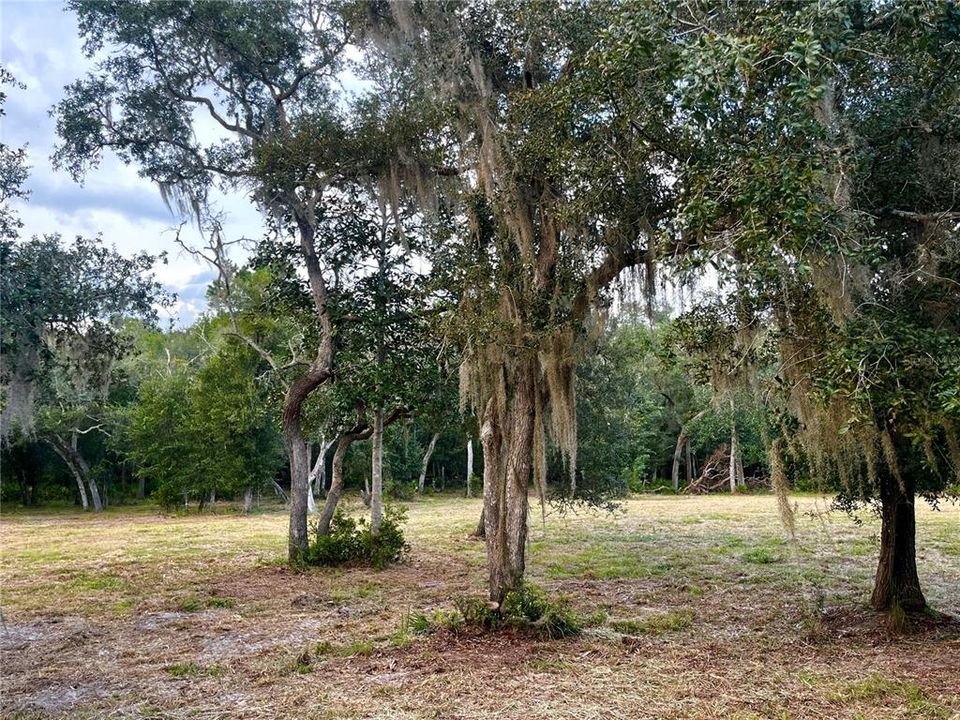 En Venta: $45,000 (1.59 acres)