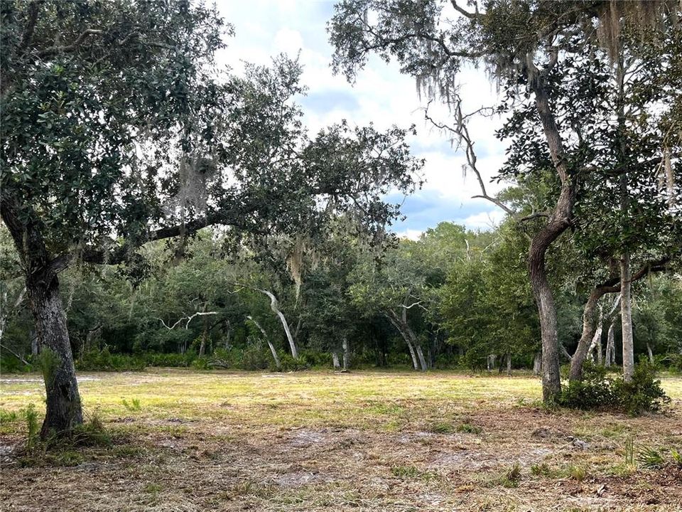 En Venta: $45,000 (1.59 acres)
