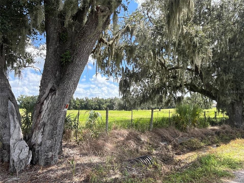 For Sale: $408,000 (16.29 acres)