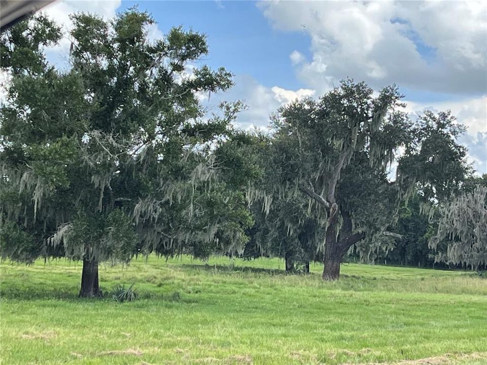 For Sale: $408,000 (16.29 acres)