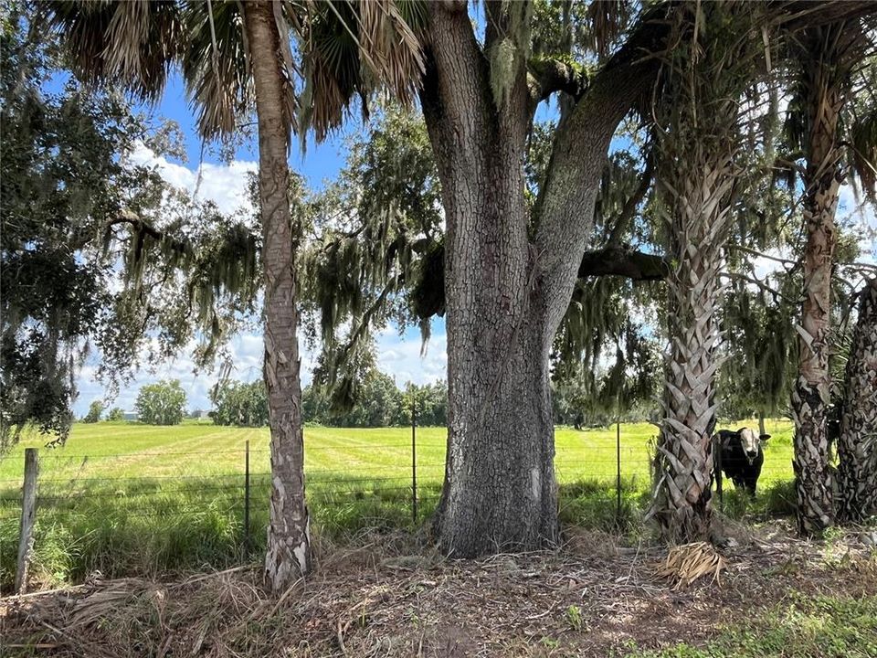 For Sale: $408,000 (16.29 acres)