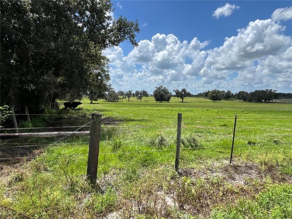For Sale: $408,000 (16.29 acres)
