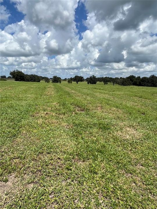 For Sale: $408,000 (16.29 acres)