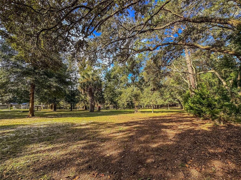 待售: $150,000 (1.37 acres)