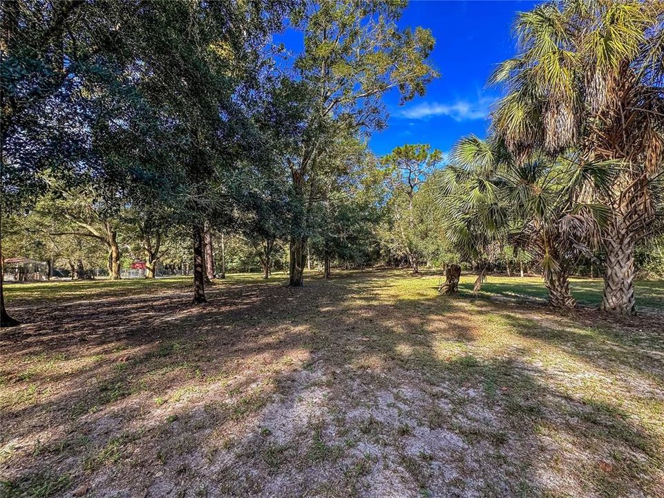 待售: $150,000 (1.37 acres)