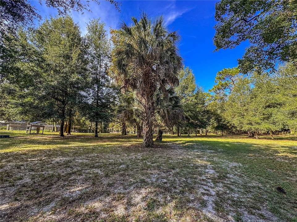 待售: $150,000 (1.37 acres)