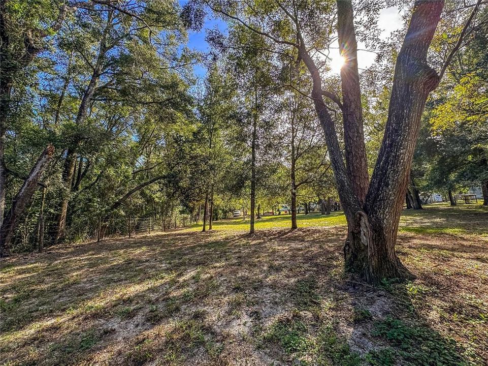 待售: $150,000 (1.37 acres)