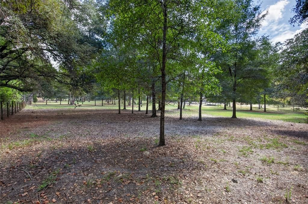待售: $150,000 (1.37 acres)