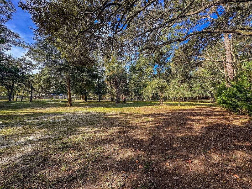 待售: $150,000 (1.37 acres)