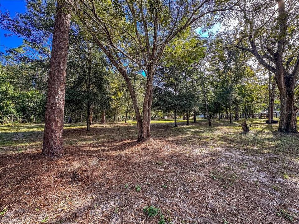 待售: $150,000 (1.37 acres)
