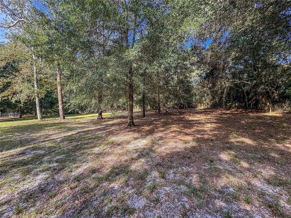 待售: $150,000 (1.37 acres)