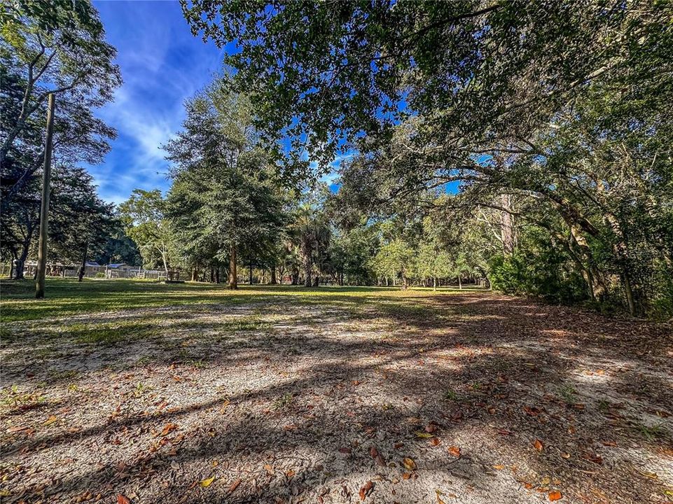 待售: $150,000 (1.37 acres)