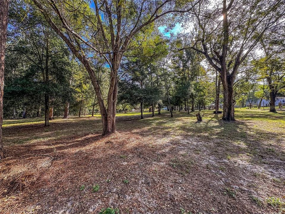 待售: $150,000 (1.37 acres)