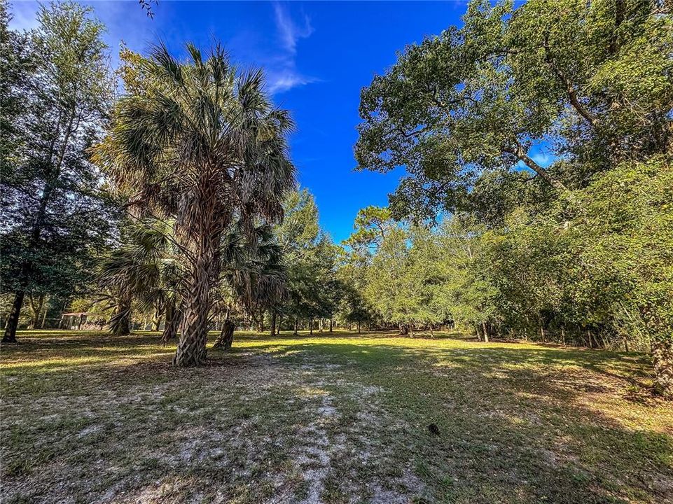 待售: $150,000 (1.37 acres)