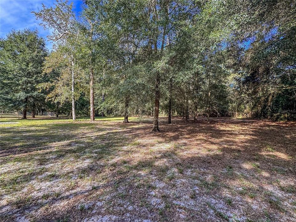 待售: $150,000 (1.37 acres)