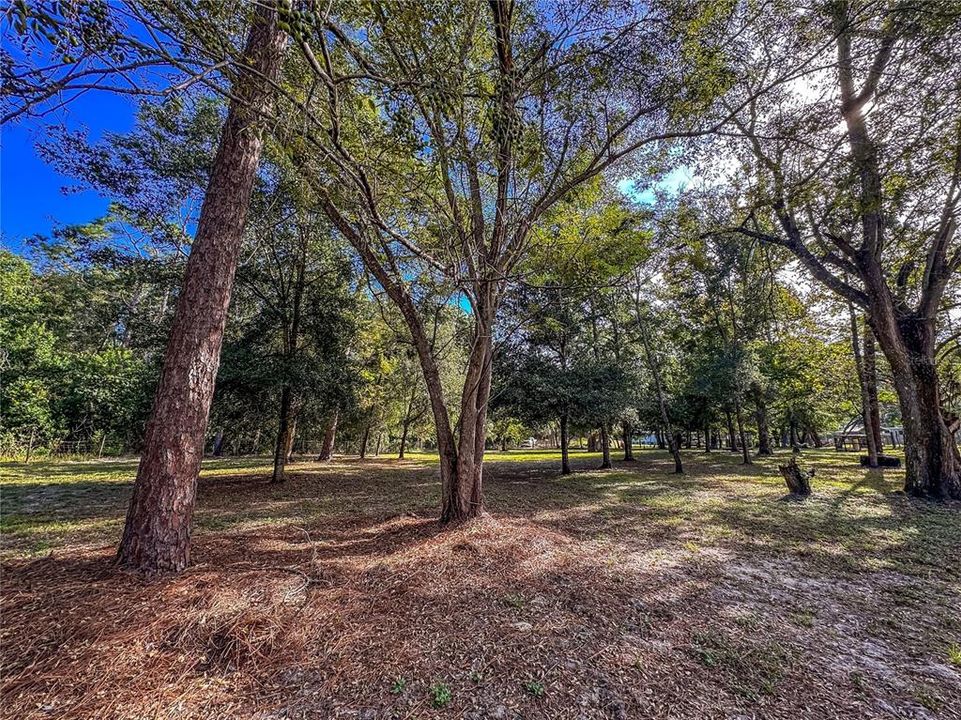 待售: $150,000 (1.37 acres)