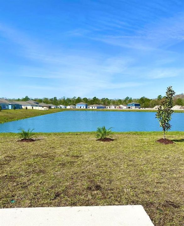 For Sale: $319,000 (3 beds, 2 baths, 1560 Square Feet)