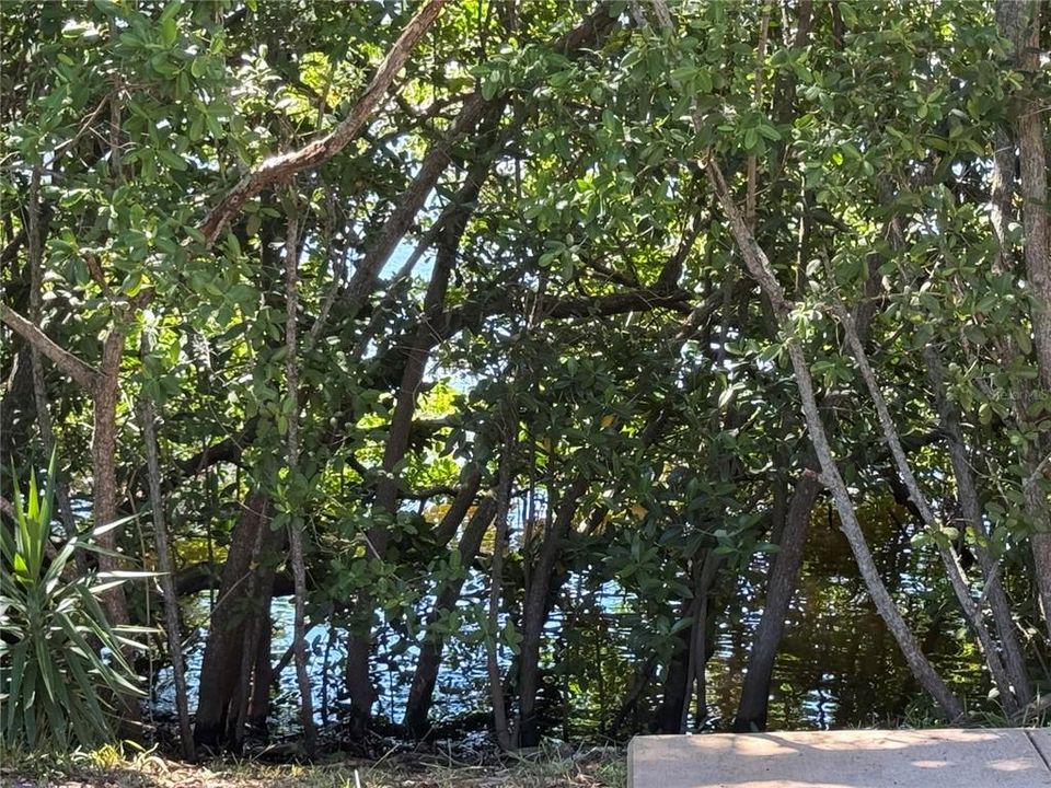 For Sale: $113,000 (1 beds, 1 baths, 700 Square Feet)