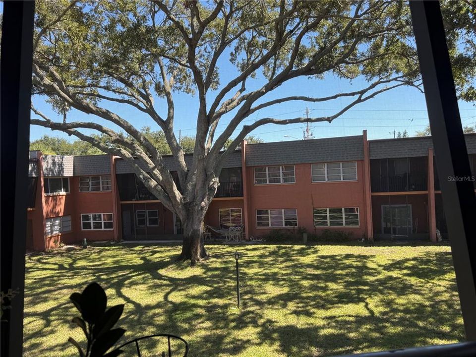 For Sale: $113,000 (1 beds, 1 baths, 700 Square Feet)