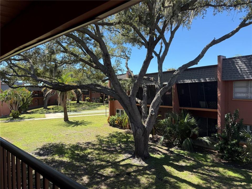 For Sale: $113,000 (1 beds, 1 baths, 700 Square Feet)
