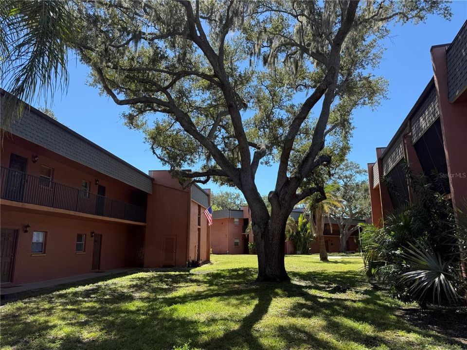 For Sale: $113,000 (1 beds, 1 baths, 700 Square Feet)