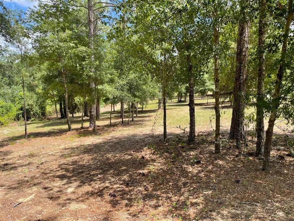 待售: $200,000 (5.62 acres)