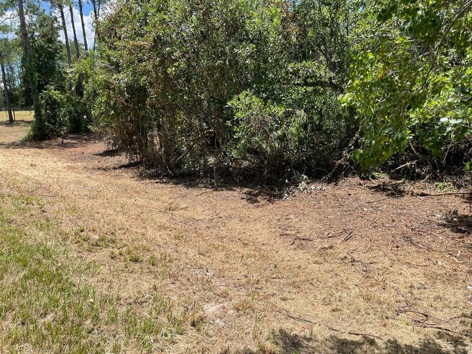 待售: $200,000 (5.62 acres)