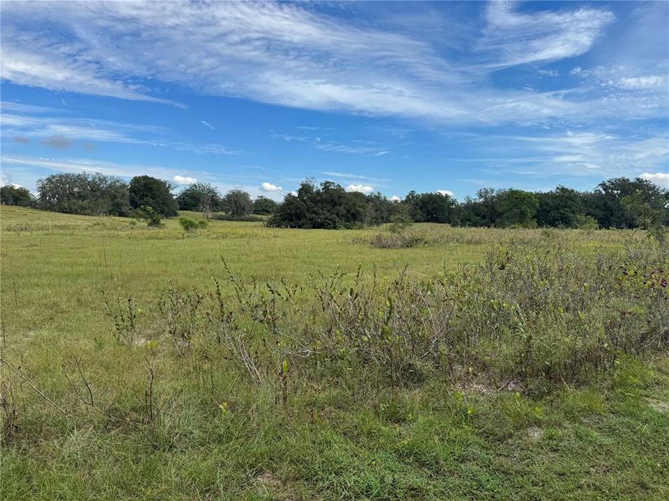 На продажу: $299,900 (4.69 acres)