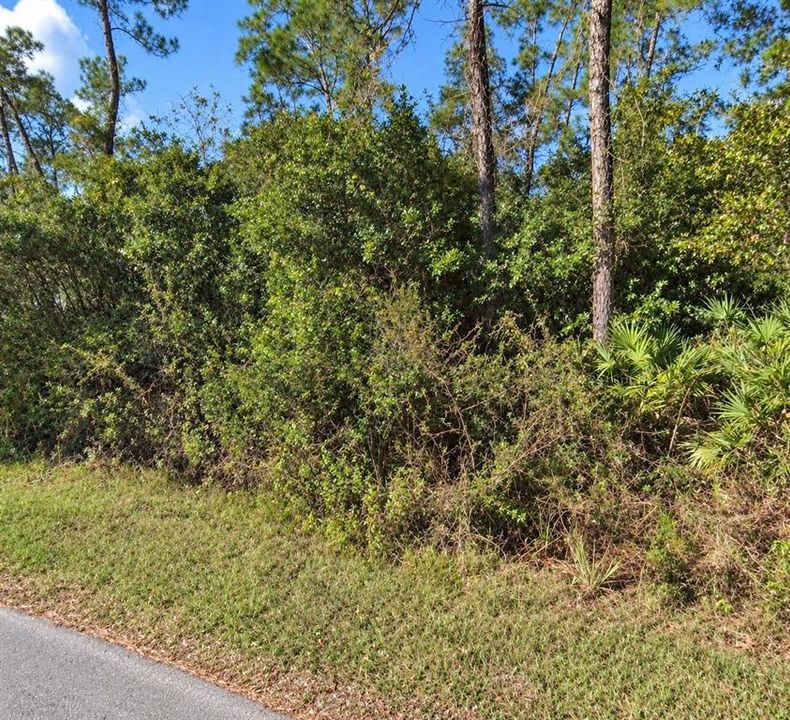 For Sale: $24,000 (0.34 acres)