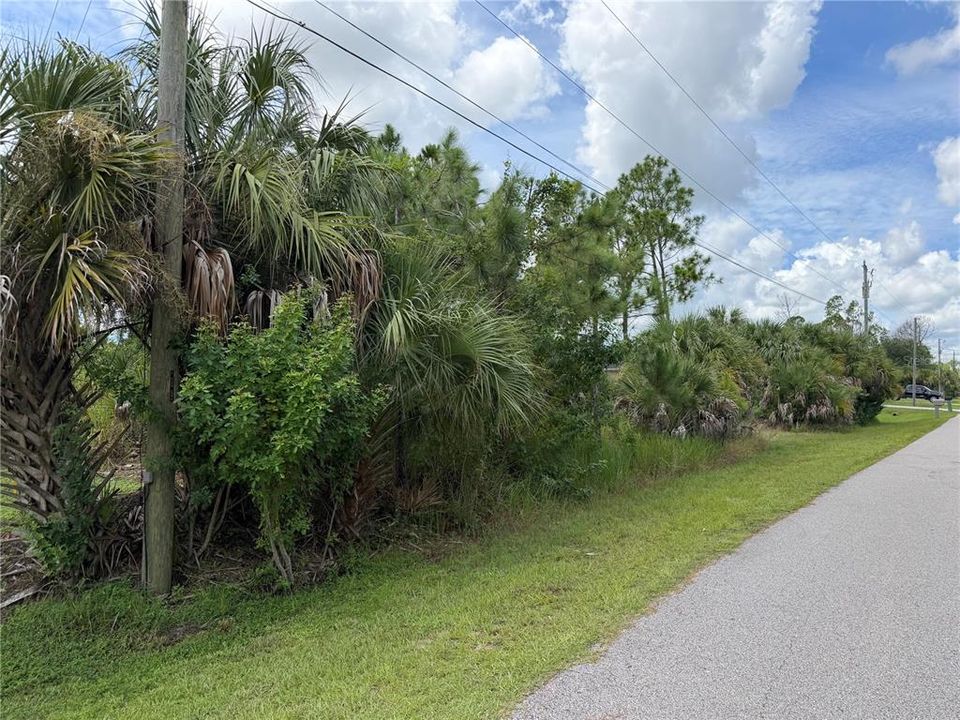 For Sale: $23,000 (0.21 acres)