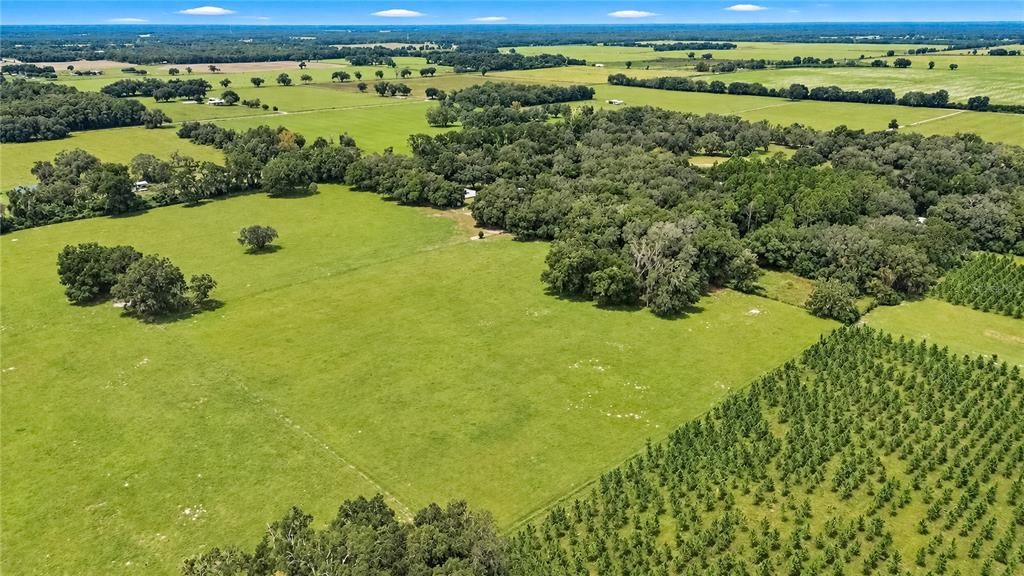 На продажу: $949,900 (4 спален, 2 ванн, 2280 Квадратных фут)