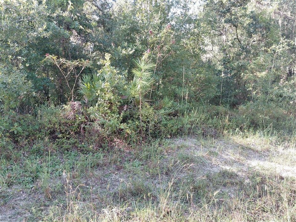 待售: $49,000 (1.16 acres)