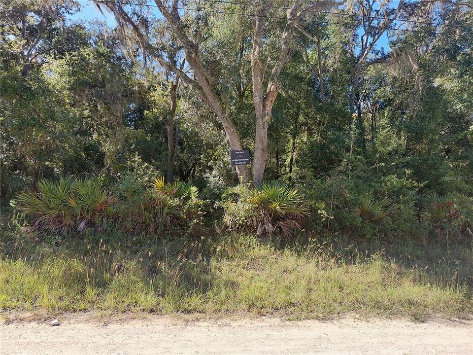 待售: $49,000 (1.16 acres)