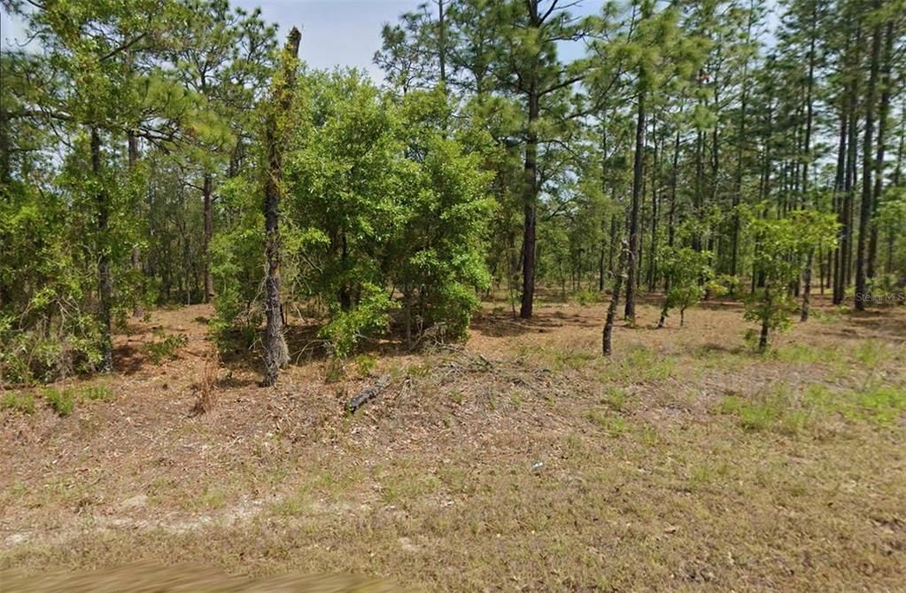 На продажу: $45,000 (1.00 acres)