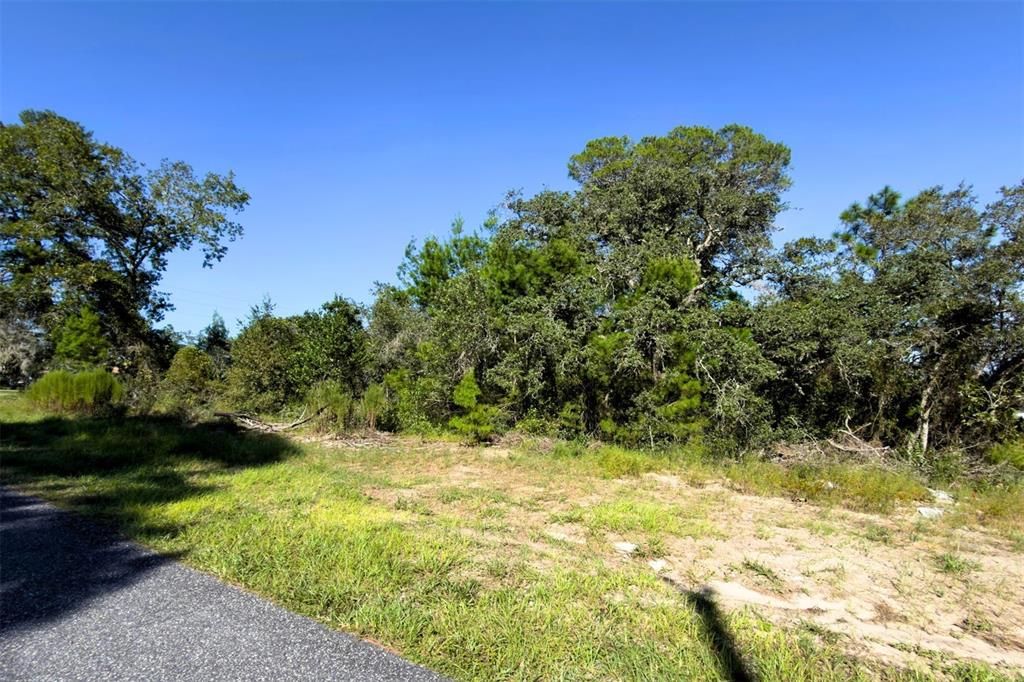 待售: $75,000 (0.35 acres)