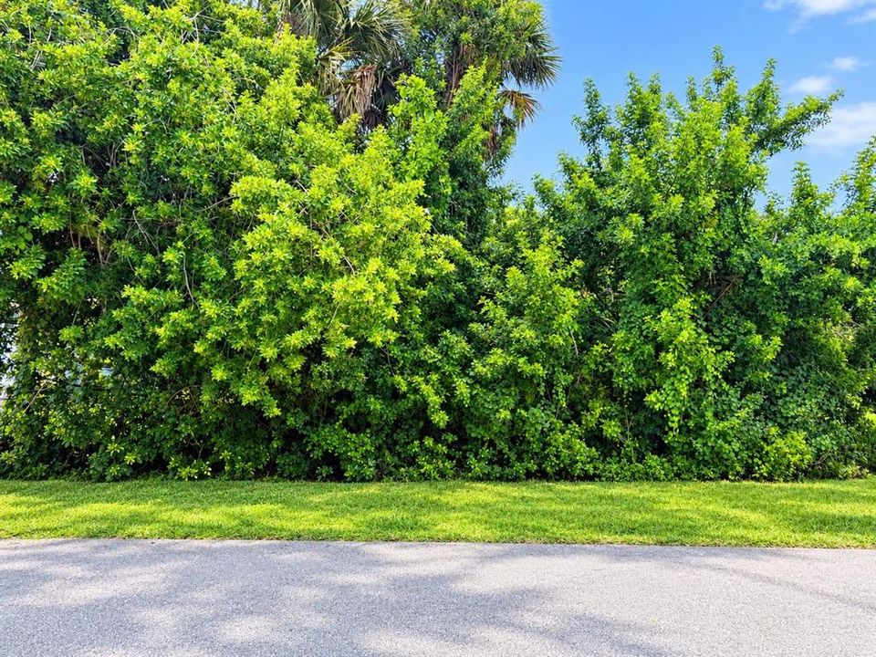 For Sale: $26,900 (0.23 acres)